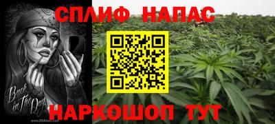 дмт Брянск