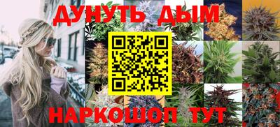 гидра Боровичи