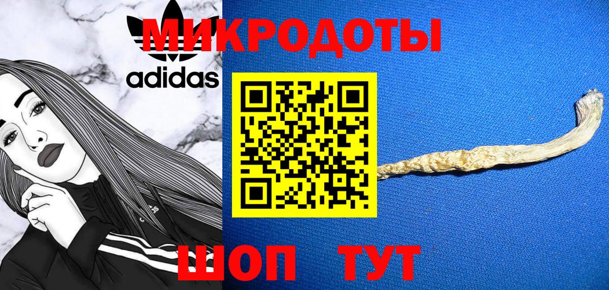 Ачхой-Мартан  Псилоцибиновые грибы ЛСД  Вход с VPN  Галлюциногенные грибы Psilocybe 