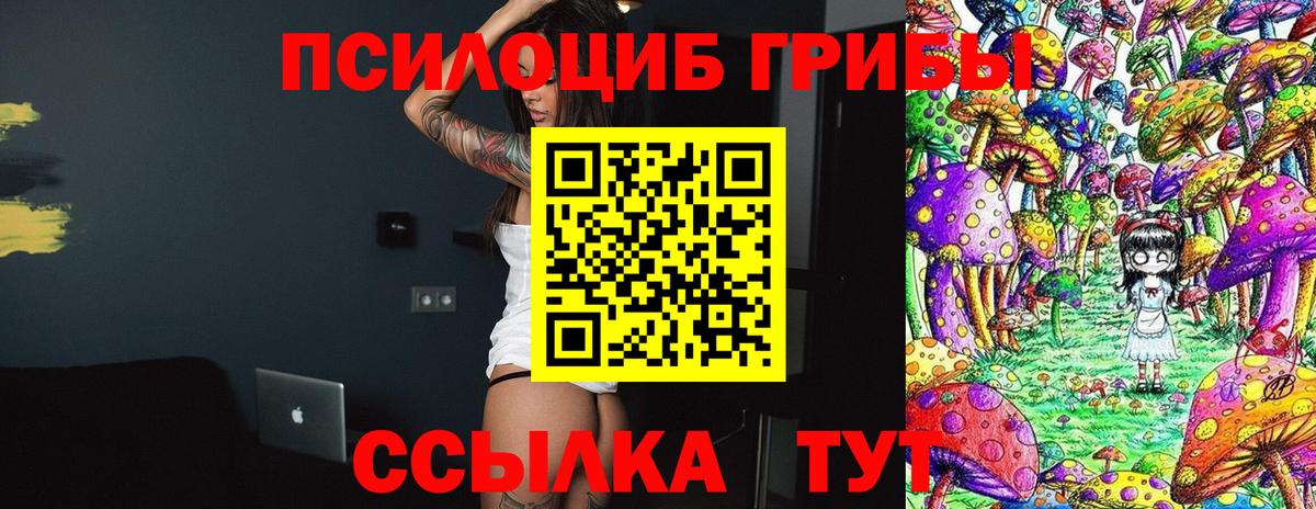 Псилоцибиновые грибы прущие грибы Ачхой-Мартан
